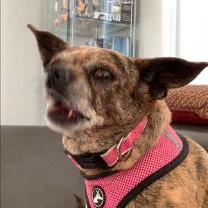 Meet your Posher, Joseph